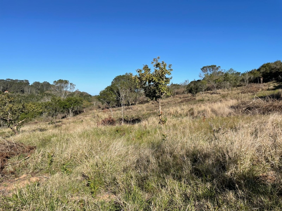 0 Bedroom Property for Sale in Bathurst Eastern Cape